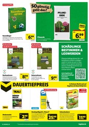 Gartenerde im hagebau kompakt Prospekt in Rheine Aktueller hagebau kompakt Prospekt mit Gartenerde, "Energie vom Balkon? SO günstig geht das!", Seite 3