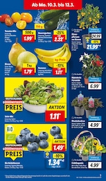 Lidl Dünger im Prospekt 