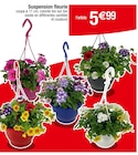 Suspension fleurie en promo chez Carrefour Suspension fleurie dans le catalogue Carrefour