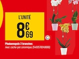 Bricorama Feytiat - Promo Phalaenopsis 2 branches Promo Phalaenopsis 2 branches à 8,69 € dans le catalogue Bricorama à Feytiat