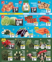 Ähnliche Angebote wie Teichpflanzen im Prospekt "DAS BESTE DER WOCHE" auf Seite 3 von EDEKA in Ingolstadt