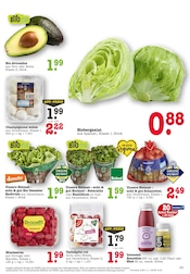 Aktueller E center Prospekt mit Pilze, "Aktuelle Angebote", Seite 13