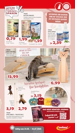 Teppich im Zookauf Prospekt in Hagen Aktueller Zookauf Prospekt mit Teppich, "DAS NÄCHSTE ABENTEUER WARTET SCHON", Seite 3