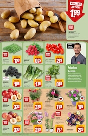 Pflanzen im REWE Prospekt in Frankfurt Aktueller REWE Prospekt mit Pflanzen, "Dein Markt", Seite 7