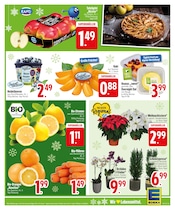 Ähnliche Angebote wie Terrassendielen im Prospekt "BESTE MARKENQUALITÄT FÜR FESTLICHE MOMENTE." auf Seite 5 von EDEKA in Ravensburg