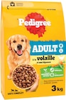 Croquettes pour chien adulte à la volaille et aux légumes - PEDIGREE en promo chez Intermarché Contact Villeurbanne à 5,16 €
