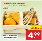 Aktuelles Zierkürbisse in Spankorb Angebot bei Netto Marken-Discount in Cottbus ab 4,99 €