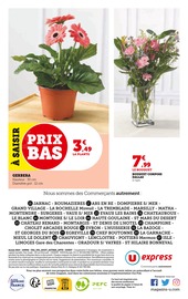 Fleurs Angebote im Prospekt "Le marché à prix bas !" von U Express auf Seite 12