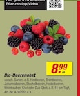 Bio-Beerenobst Angebote bei toom Baumarkt Solingen für 8,99 €