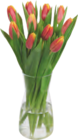 Zwei Bund Tulpen von  im aktuellen tegut Prospekt für 10,00 €