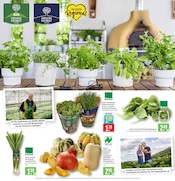 Kürbis im Marktkauf Prospekt in Göppingen Aktueller Marktkauf Prospekt mit Kürbis, "Aktuelle Angebote", Seite 6