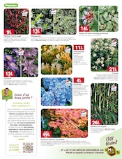 Promos Hortensia dans le catalogue "ON M quand l'automne se prépare en famille" de LaMaison.fr Hortensia en promo dans le catalogue LaMaison.fr à la page 19