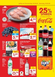 Ähnliche Weizenkorn Angebote im Prospekt "Aktuelle Angebote" von Netto Marken-Discount in Gera Ähnliche Angebote wie Weizenkorn im Prospekt "Aktuelle Angebote" auf Seite 49 von Netto Marken-Discount in Gera