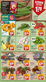 Ähnliche Glanzmispel Angebote im Prospekt "Dein Markt" von REWE in Hannover Ähnliche Angebote wie Glanzmispel im Prospekt "Dein Markt" auf Seite 9 von REWE in Hannover