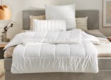 Aktuelles Ganzjahresbett Angebot bei Möbelzentrum Pforzheim in Heilbronn ab 34,99 €