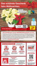 Weihnachten Angebot im aktuellen toom Baumarkt Prospekt auf Seite 2