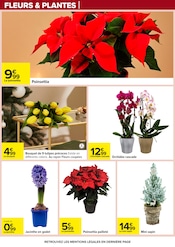 Orchidée Angebote im Prospekt "APÉRO DINATOIRE" von Carrefour Orchidée Angebote im Prospekt "APÉRO DINATOIRE" von Carrefour auf Seite 101