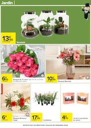 Prix et réduction Cactus dans le prospectus Carrefour en cours Offre Cactus dans le catalogue Carrefour du moment à la page 93