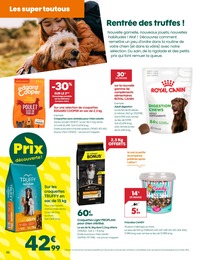 Offre Store dans le catalogue Truffaut du moment à la page 2