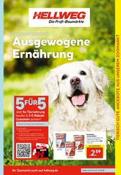 Ähnliche Aquarium Angebote im Prospekt "Die Profi-Baumärkte" von Hellweg in Iserlohn Ähnliche Angebote wie Aquarium im Prospekt "Die Profi-Baumärkte" auf Seite 9 von Hellweg in Iserlohn