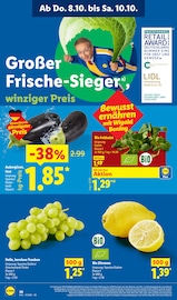 Aktueller Lidl Prospekt mit Bio, "LIDL LOHNT SICH", Seite 58