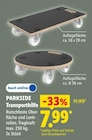 Transporthilfe von Parkside für 7,99 € bei Lidl im Angebot Transporthilfe von Parkside im aktuellen Lidl Prospekt