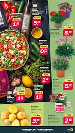 Kartoffeln im Netto mit dem Scottie Prospekt in Neubrandenburg Aktueller Netto mit dem Scottie Prospekt mit Kartoffeln, "Günstig. Besser. Für Dich.", Seite 3
