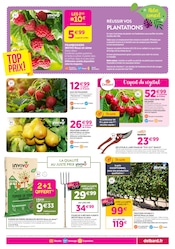 Promos Sécateur dans le catalogue "Chez nous les bonnes affaires c'est toute l'année" de Delbard à la page 5