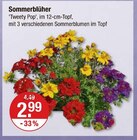 Sommerblüher im aktuellen V-Markt Prospekt für 2,99 €