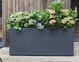 Jardinière Basalt’ 57 L EDA à Mr. Bricolage dans Les Vanels Jardinière Basalt’ 57 L EDA à Mr. Bricolage dans Les Vanels