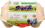 Aktuelles Frische Eier Angebot bei Kaufland in Hamburg ab 2,19 €
