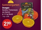 V-Markt Mainburg Prospekt mit  im Angebot für 2,99 €