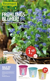ROSENGUT Langerwisch Prospekt für Christinendorf: "FRÜHLINGSBLÜHER!", 12 Seiten, 18.03.2026 - 29.03.2026