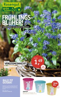 ROSENGUT Langerwisch Prospekt FRÜHLINGSBLÜHER! mit 12 Seiten