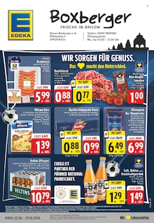 EDEKA Prospekt Aktuelle Angebote mit  Seiten in Brilon und Umgebung