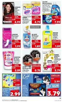 Farbe im aktuellen Kaufland Prospekt (Jena) Farbe im Kaufland Prospekt "KNĂśLLER" mit 53 Seiten (Jena)