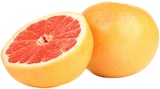 REWE Rhede - Grapefruit Angebot im Prospekt Grapefruit bei REWE im Rhede Prospekt für 0,79 €