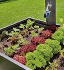 Micro-Drip-System Start-Set von Gardena für 12,00 € bei Globus-Baumarkt im Angebot Micro-Drip-System Start-Set von Gardena im aktuellen Globus-Baumarkt Prospekt