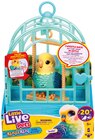 Vogel Indie von Little Live Pets im aktuellen Rossmann Prospekt für 17,99 €