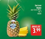Ananas von San Lucar im aktuellen Marktkauf Prospekt