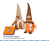 Action Ratingen - Herbstdeko Zwerg Angebot im Prospekt Herbstdeko Zwerg bei Action im Ratingen Prospekt für 3,99 €