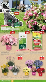 Aktueller Raiffeisenmarkt Prospekt mit Rasenmäher, "So wird draußen zum Lieblingsort.", Seite 2