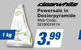 expert Bad Kötzting - Powersalz in Dosierpyramide Angebot im Prospekt Powersalz in Dosierpyramide bei expert im Bad Kötzting Prospekt für 3,99 €
