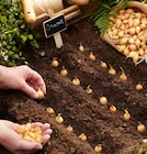 Hagebaumarkt Kyritz Prospekt mit  im Angebot für 1,29 €