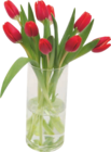 Bouquet de tulipes dans le catalogue Aldi