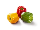 Aktuelle Paprika-Mix Angebote bei Lidl in München Aktuelles Paprika Mix Angebot bei Lidl in München ab 2,69 €