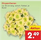 Chrysanthemen Angebote bei Netto Marken-Discount Chemnitz für 2,49 €