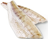 Zanderfilet von Pro Trace im aktuellen METRO Prospekt für 20,32 €