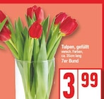 Aktuelles Tulpen, gefüllt Angebot bei EDEKA in Potsdam ab 3,99 €