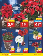 Aktueller Netto Marken-Discount Prospekt mit Weihnachtsstern, "Aktuelle Angebote", Seite 22